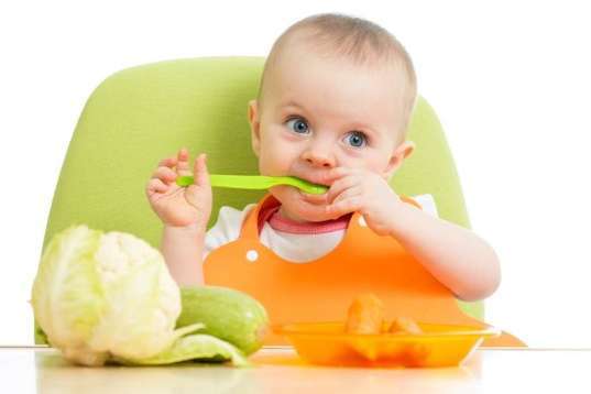 Weaning Food Recipe (10 to 12 months)