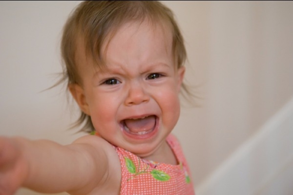 What should you expect your toddler to behave as? (1 to 3 years)