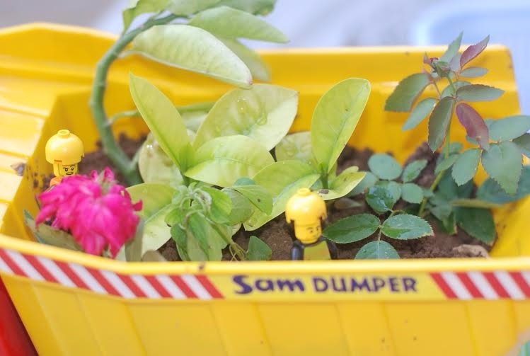 How to make a DIY planter for your kids, with your kids!