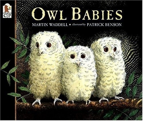 Book Review: Owl Babies