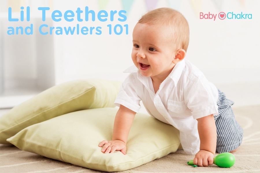 Everything You Wanted To Know About Raising Your Little Crawler