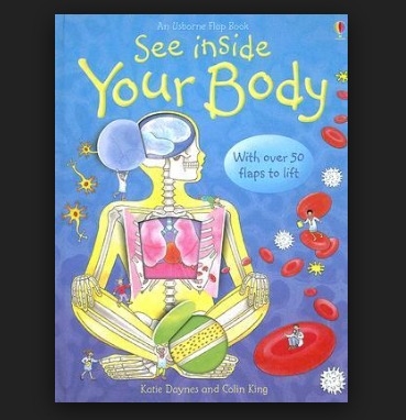 Book Review: See Inside My Body By Katie Daynes