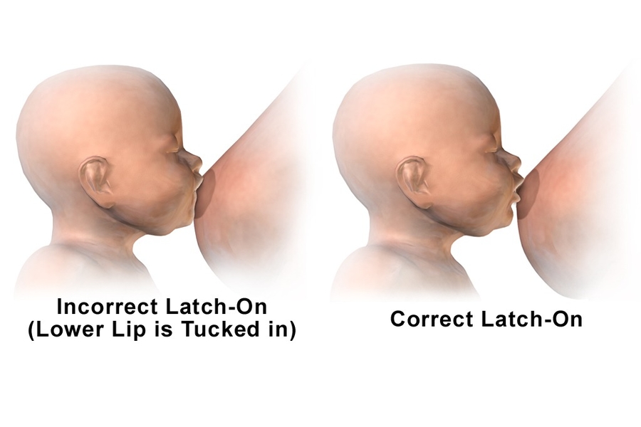 Lactation Information &#8211; Breastfeeding Basics