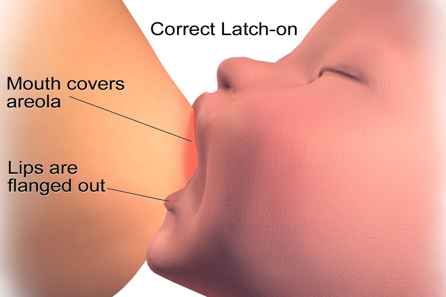 Recommended Breastfeeding Positions