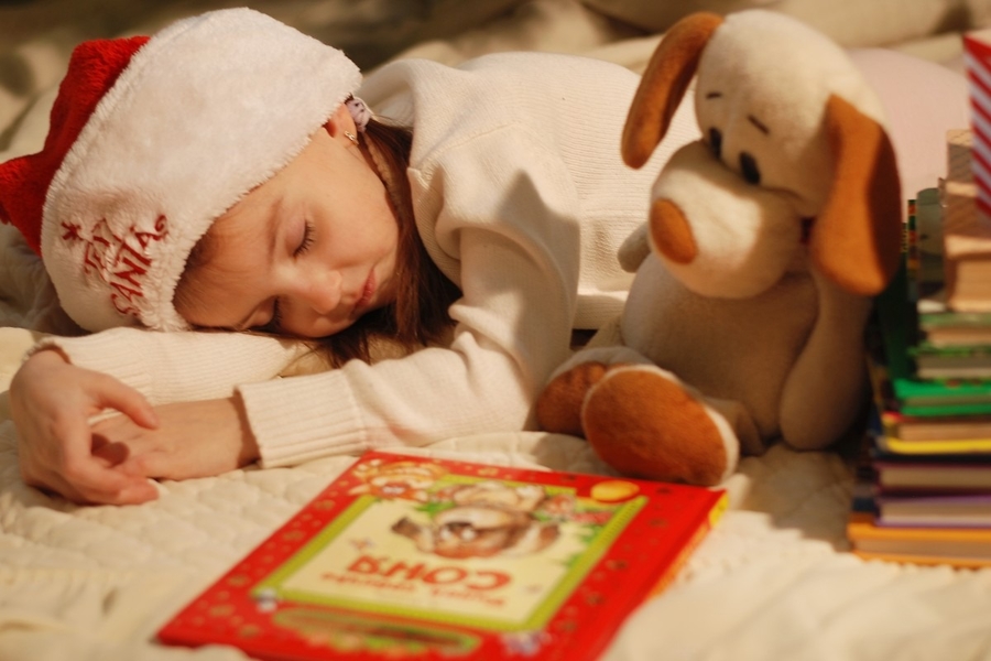 Books To Read to Your Toddler this Christmas