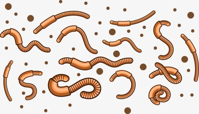 Worms In Babies &amp; Their Natural Treatment