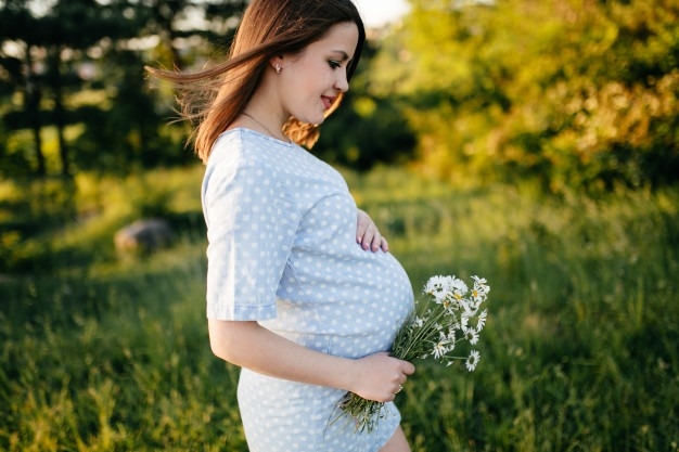 How to Decide The Path For Your Journey of Pregnancy?: Part 1