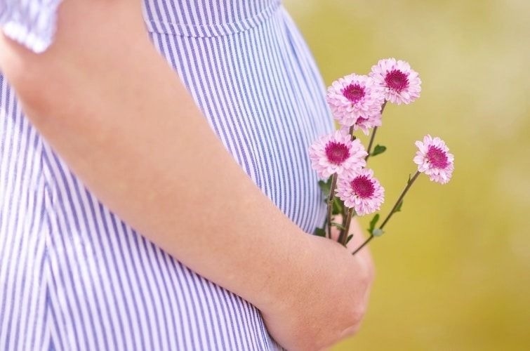 गर्भ में भ्रूण के विकास के मुख्य चरण कौन से हैं &#8211; Fetal Development In The Different Trimester