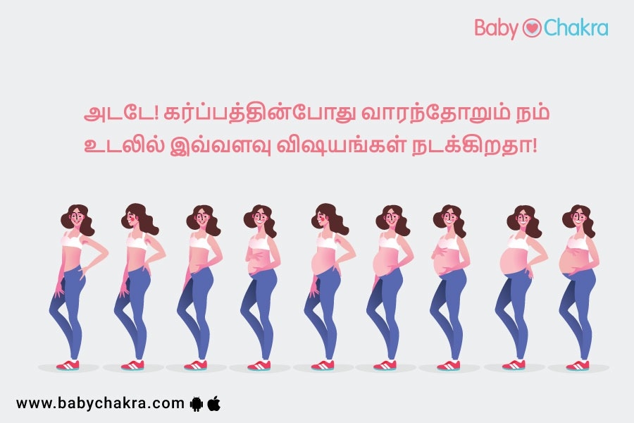 அடடே! கர்ப்பத்தின்போது வாரந்தோறும் நம் உடலில் இவ்வளவு விஷயங்கள் நடக்கிறதா!