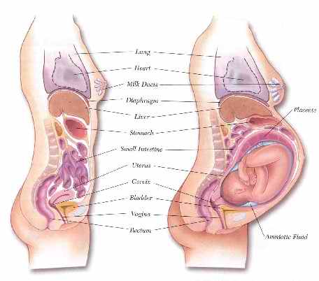 garbhawastha mein bigda garbhashay irritable uterus