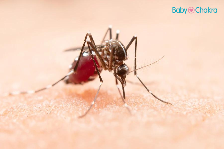 Give Your Child 8 Hours Of Effective Protection From Disease-Causing Mosquitoes. Here&#8217;s How