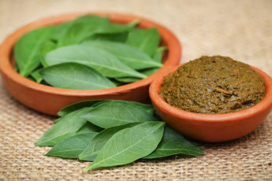 प्रेगनेंसी में मेंहदी बालों में लगाना क्या सेफ है?